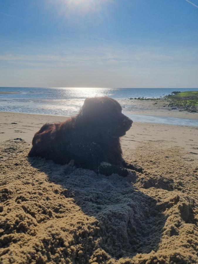 Meerblick Wattenmeer ,50M Vom Meer,Strand 300M Westerland Eksteriør bilde