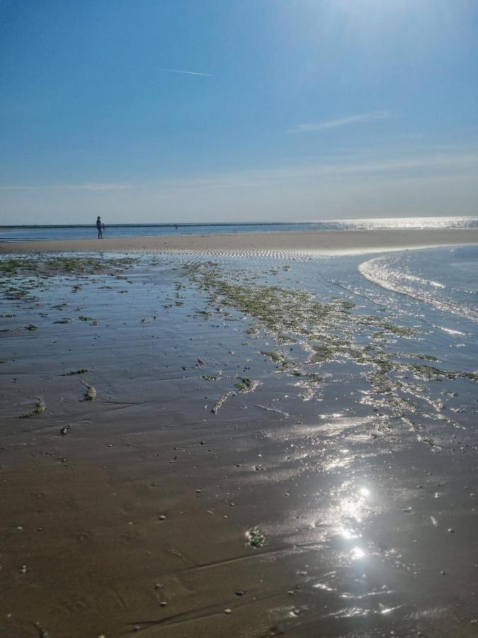 Meerblick Wattenmeer ,50M Vom Meer,Strand 300M Westerland Eksteriør bilde