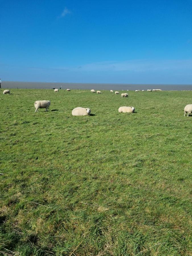 Meerblick Wattenmeer ,50M Vom Meer,Strand 300M Westerland Eksteriør bilde